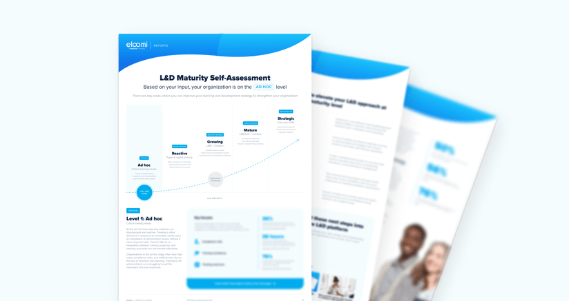 L&D maturity self assessment